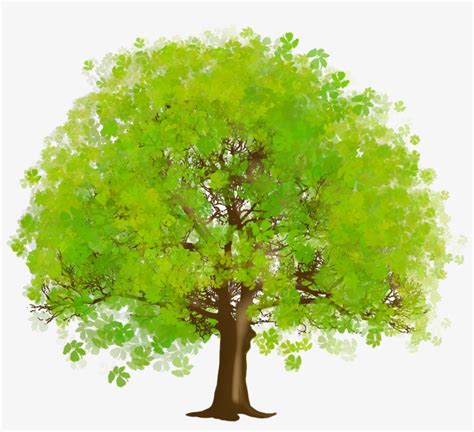 Large Green Tree Png Clipart Tree Clipart Transparent Png X