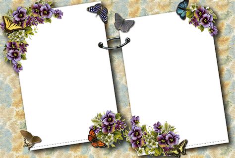 Transparent Butterflies Photo Frame With Images Butterfly Photo