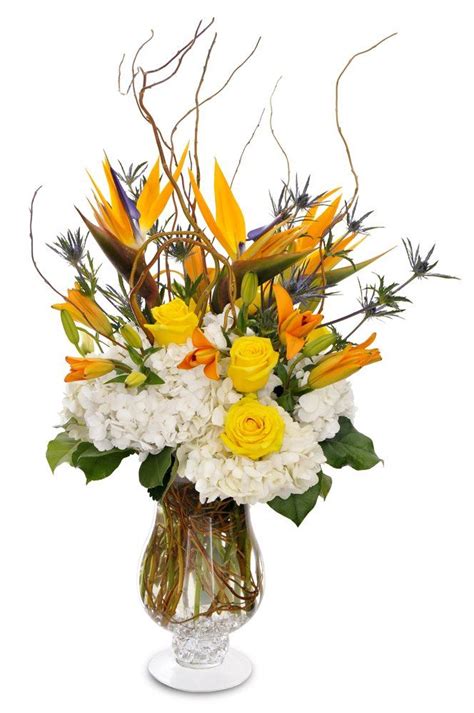 Contact morrison's flowers & gifts in williamsburg on weddingwire. Morrison's Flowers & Gifts - Williamsburg, VA, United ...