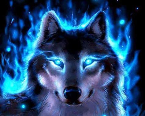 38 Cool Wolf Hd Wallpapers