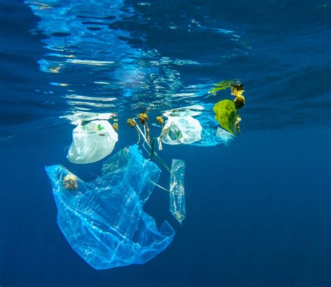 Plastic Bags Is Banning Them Doing More Harm Than Good — Plastics Facts
