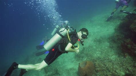 Scuba Diver Underwater Editorial Stock Image Image Of Outdoors