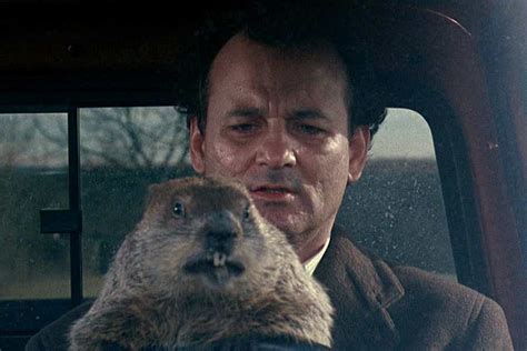 Groundhog Day Celebration 2024 - Jere Rebecca