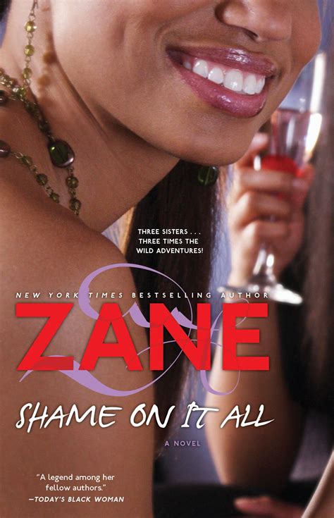 Book Cover Image  Zanes Shame On It All