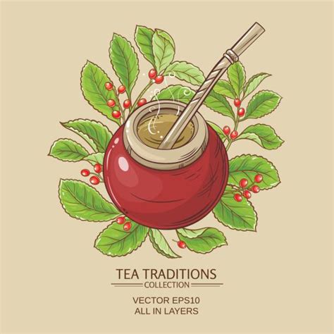 Yerba Mate Illustrations Royalty Free Vector Graphics And Clip Art Istock