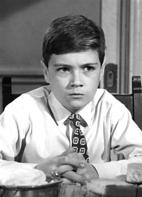 Phillip Alford As Jeremy Atticus Finch In To Kill A Mockingbird To