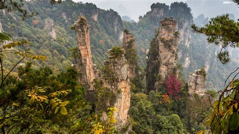Las Wulingyuan Scenic Area Skały Góry Zhangjiajie National Forest