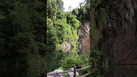 Offering stunning views of an abandoned quarry site dating back to the late 80s, bukit batok nature park exudes tranquility and is a perfect place to. Singapore Bukit Batok Nature park - YouTube