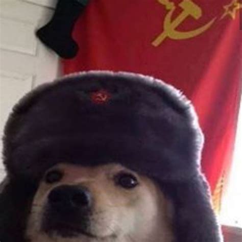 Communist Dog Raww