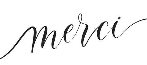 Merci Typography Lettering Quote Brush Calligraphy Banner With Thin Line Vector Art