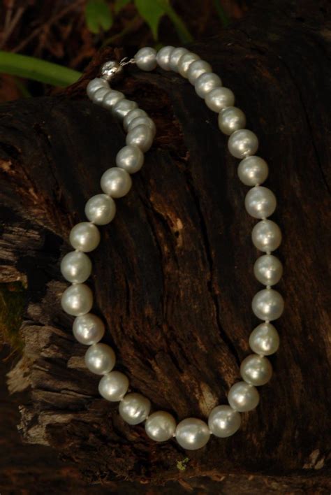 Broome Pearls Color Of The Day Real Pearls Big Island Opals