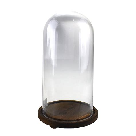 Glass Dome With Wood Base 13 Inch