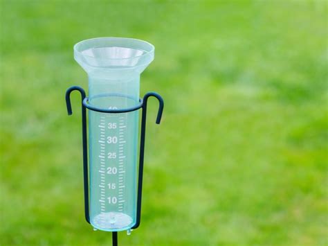 Rain Gauges For Home Use How A Rain Gauge Can Be Used In The Garden