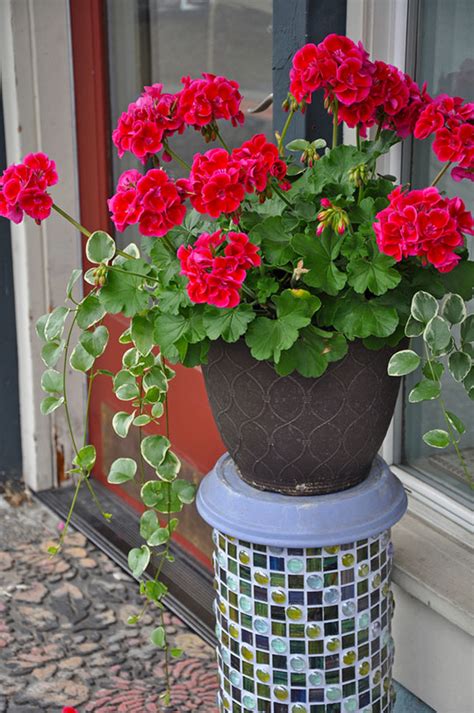 This example hold five pots, standing on tri part base, suitable for stylish wrought iron and tile plant, drink stand. 15 Creative DIY Plant Stand Ideas - Garden Lovers Club