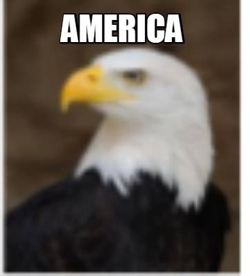 American Revolution Memes