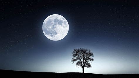 Полнолуние характеристика фазы Луны влияние на человека запреты