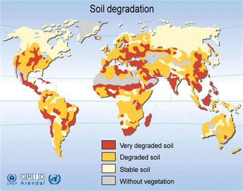 Soil And Change 4hrs Geography For 2020 And Beyond