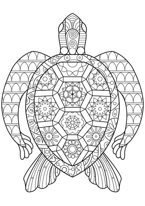 Coloring Pages Coloring Pages Zen Turtle Sheets Turtles Adult