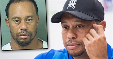 Tiger Woods DUI Arrest Golfer Found Asleep At The Wheel