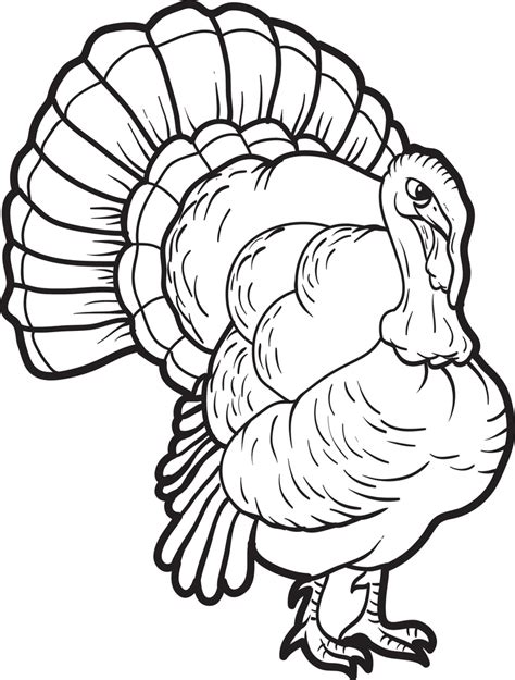 Printable Turkey Coloring Page For Kids 13 Supplyme
