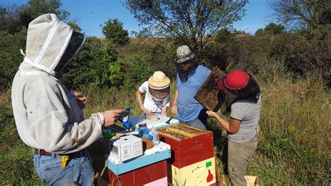 Open Apiary Meriden Ks Great Plains Master Beekeeping Nebraska