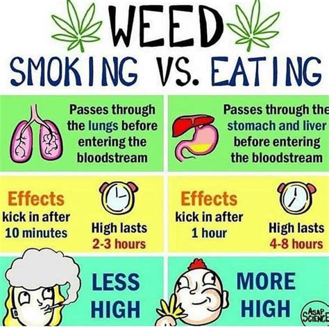 I took my fist hit when i was 15 or so. Smoking Vs Eating ?? What's your Opinions? - Reddit
