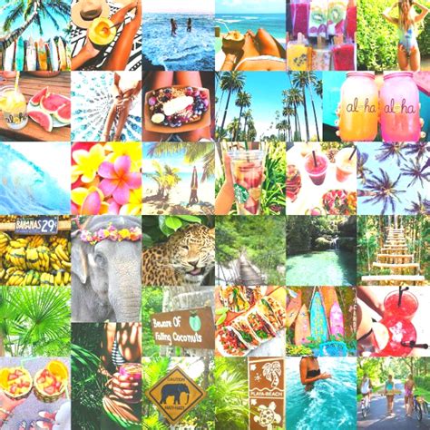 Spark your creativity with the most popular photo editor app on mobile. tropical collage!! 🐚☀🌴 tropical travel collage vibran...