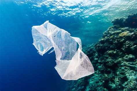 Plymouth Plan For Plastics Ocean Conservation Trust