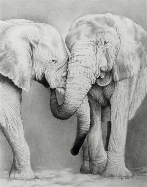 Elephant Love Drawing By Becky West Fine Art America
