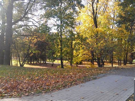 Janusz panasewicz i paweł kukiz mogę nigdy więcej nie podać sobie ręki. Park w Legnicy