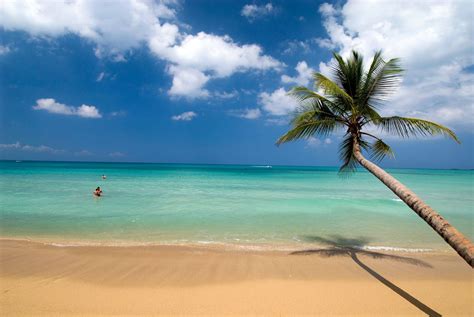 5 Caribbean Islands For Affordable Living Dominican Republic Live