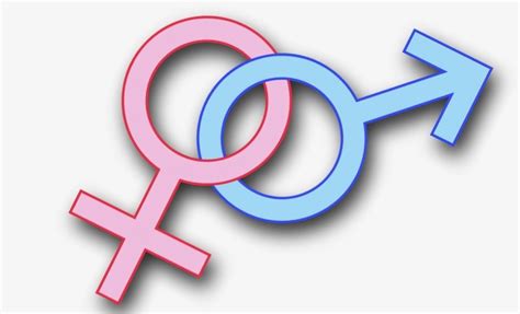 23 Keys For Unlocking The Mystery Of Gender Identity And Human