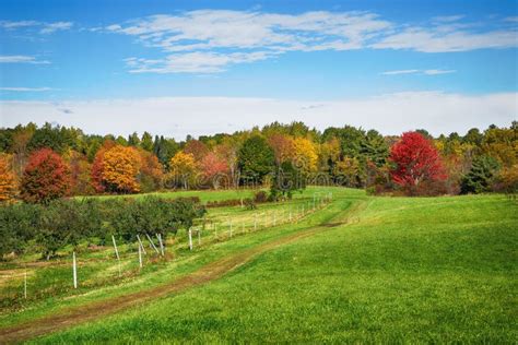 Autumn Country In New England Apple Orchard Stock Photo Image Of