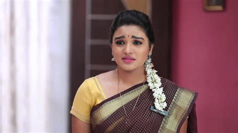 Watch Sembaruthi Tv Serial 22nd February 2019 Full Episode Online On Zee5