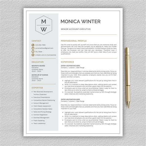 Professional And Modern Resume Template For Word