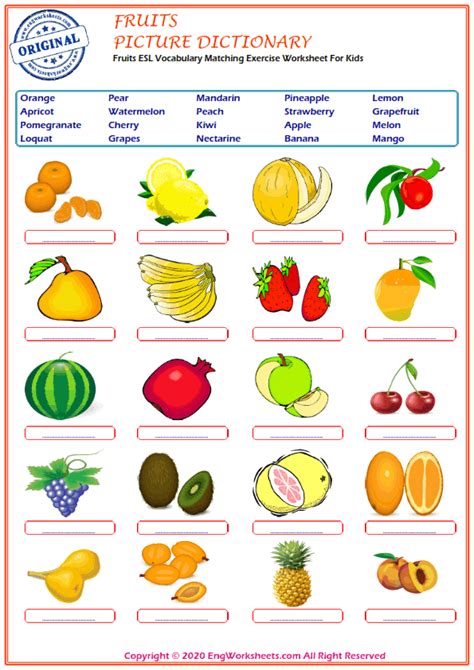 Fruits Esl Printable Picture Dictionary Worksheet For Kids Image