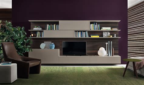 Contemporary Wall Unit System With Space For Tv