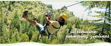 19,234 likes · 144 talking about this · 17,072 were here. Sonoma Canopy Tours - http://sonomacanopytours.com/ | Wine ...
