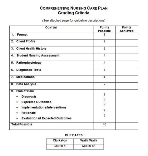 Nursing Care Plan Templates - 16 Free Word, Excel, PDF ...
