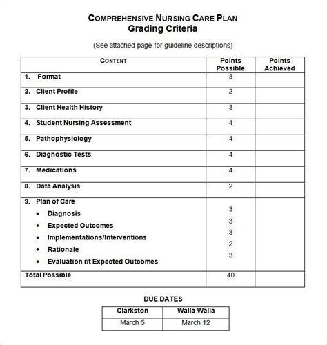 Create a blank nursing care plan using this free and printable template. Nursing Care Plan Template - 20+ Free Word, Excel, PDF ...