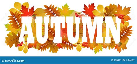 Autumn Banner Text On Autumnal Colorful Leaves Stock Vector