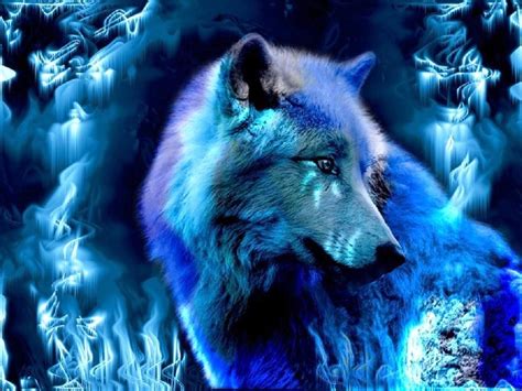 Blue Wolf Wallpapers Top Những Hình Ảnh Đẹp