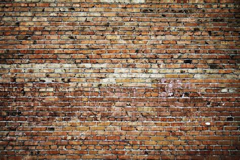 Brick Wall — Stock Photo © Avlntn 4270233