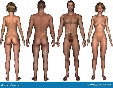 Man Woman Nude Body Isolated Stock Illustration Image 47838082