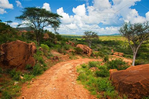 Savanna Landscape In Africa High Quality Nature Stock Photos