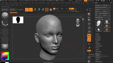 Zbrush Hair Guide To How To Create Realistic Hair With Zbrush