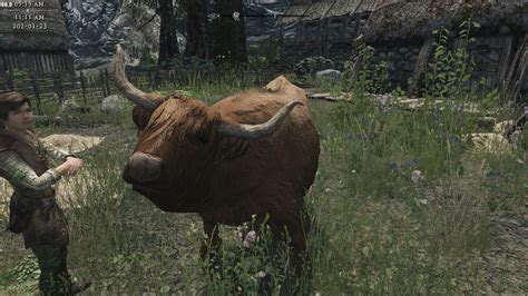 Gds Highlandcow A 2k Cow Retexture At Skyrim Nexus Mods And Community