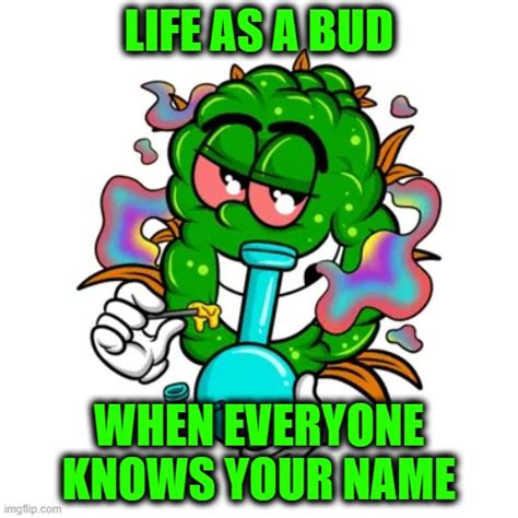 When Everyone Knows You Imgflip