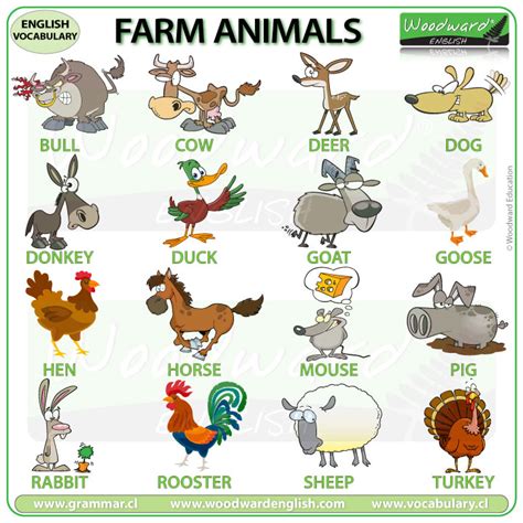 Farm Animals English Vocabulary Learn The Names Of Farm Animals In