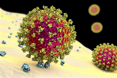 The New U K Coronavirus Variant Spreads Faster 50 More
